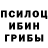 Галлюциногенные грибы мицелий kebgulU Kholbekov