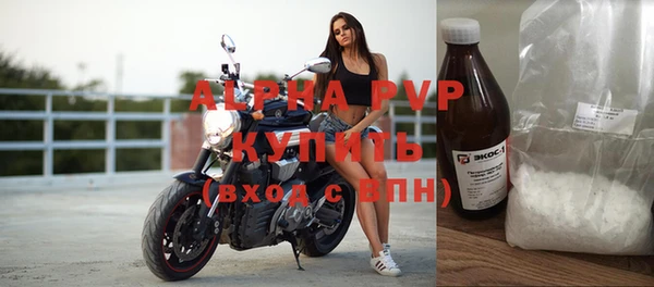 шишки Гусь-Хрустальный