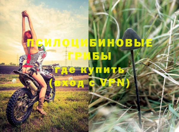 a pvp Гусиноозёрск