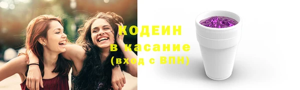 шишки Гусь-Хрустальный